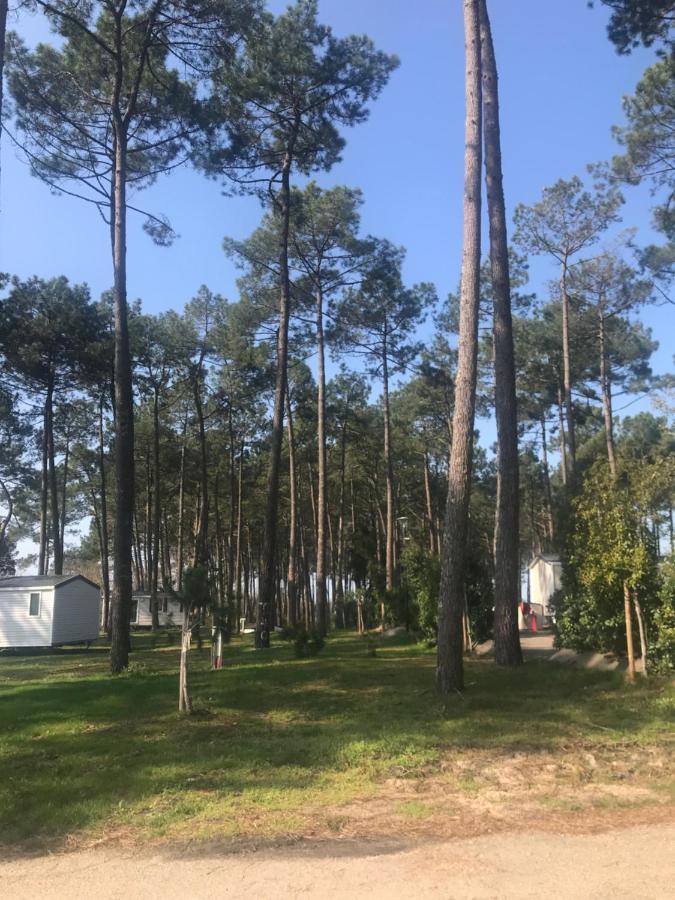 Escape Mobilhome Aux Dunes De Contis Saint-Julien-en-Born Dış mekan fotoğraf